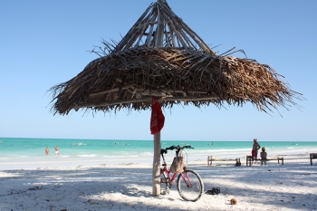 Zanzibar-1