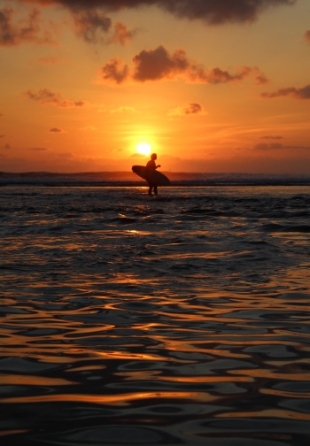 Surfer at sunset