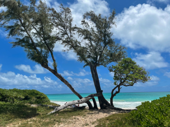Waimanalo beach, Hawaii