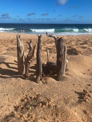 Wood on beach, Hawaii