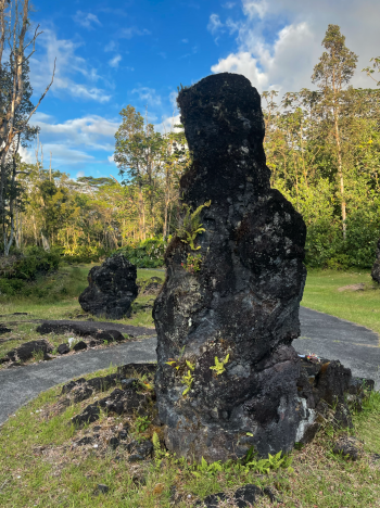Lava Trees, The Big Island, Hawaii