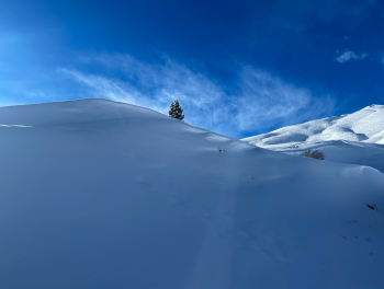 The Swiss Alps
